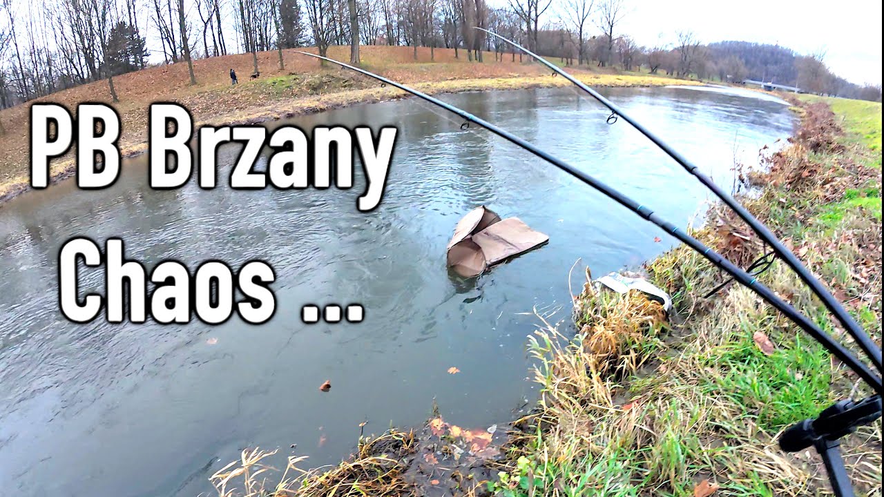 PB brzany , piękne klenie , chaos… telefon  i sprzęt prawie w rzece!