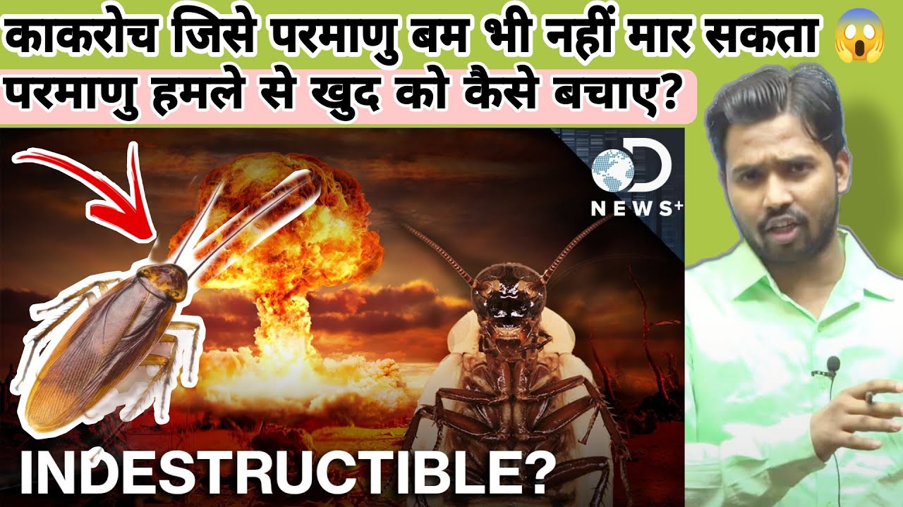 कोकरोच जिसे परमाणु बम भी नहीं मार सकता 😱 || परमाणु हमले से खुद को कैसे बचाए? #khansir #khangs