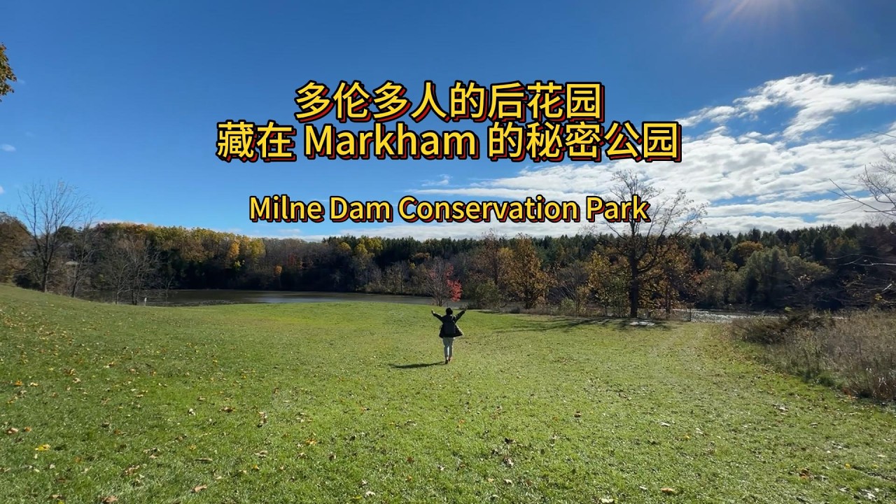 多伦多藏着这个免费公园？30分钟车程，美到不像话 | Hidden Gem Near Toronto! Hiking Milne Dam Conservation Park in Markham 🌿