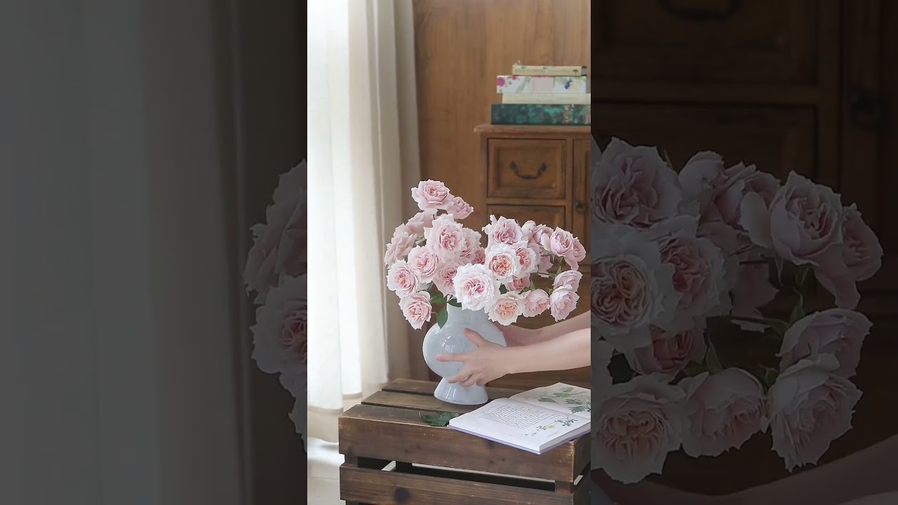 My White Moonlight Vase Flower Arrangement Collection~Flower Materials Youhuaxiang~ 