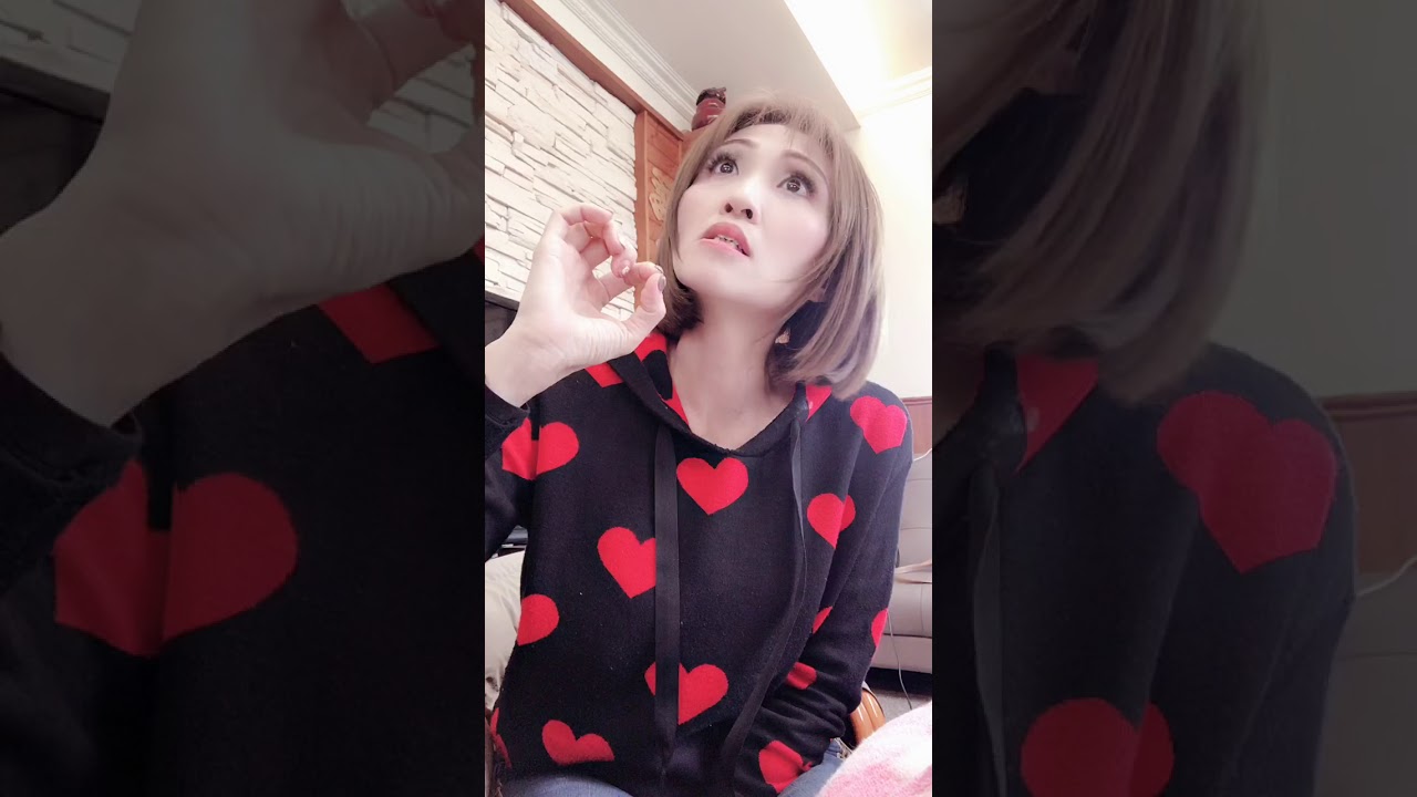 楊惠絜（英台）説明片段