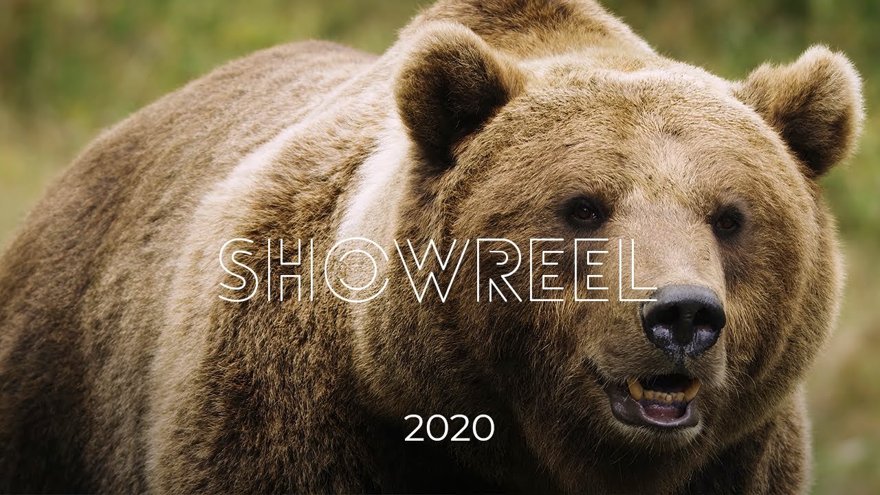 FASTFOKUS - SHOWREEL - 2020 - 4K