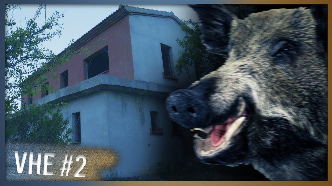 ACHTERVOLGD door ZWIJNEN bij VERLATEN HUIS! | VHE #2