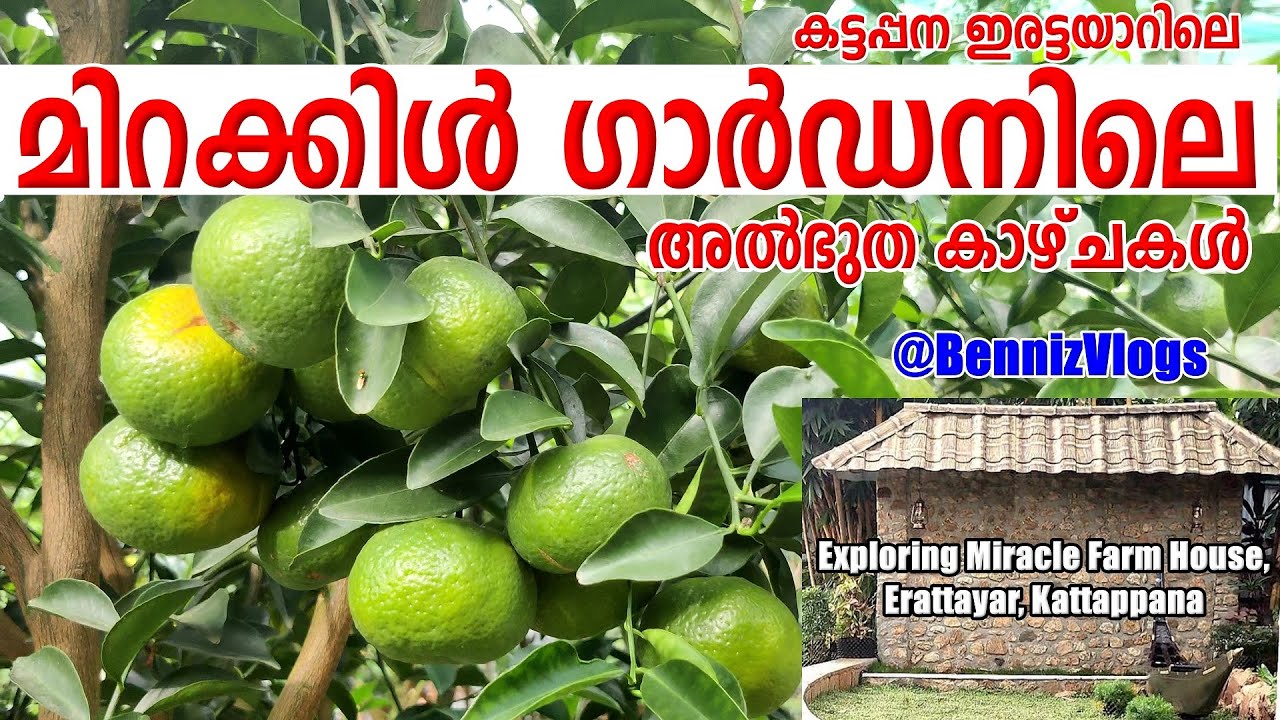 #134 - Exploring Miracle Farm House, Erattayar, Kattappana | കട്ടപ്പനയിലെ ഇരട്ടയാറിലെ മിറക്കിൾ ഫാം