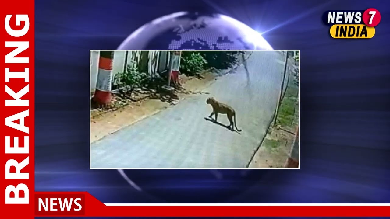 Caught on cam: Leopard enters District Magistrate's bungalow in UP's Gonda