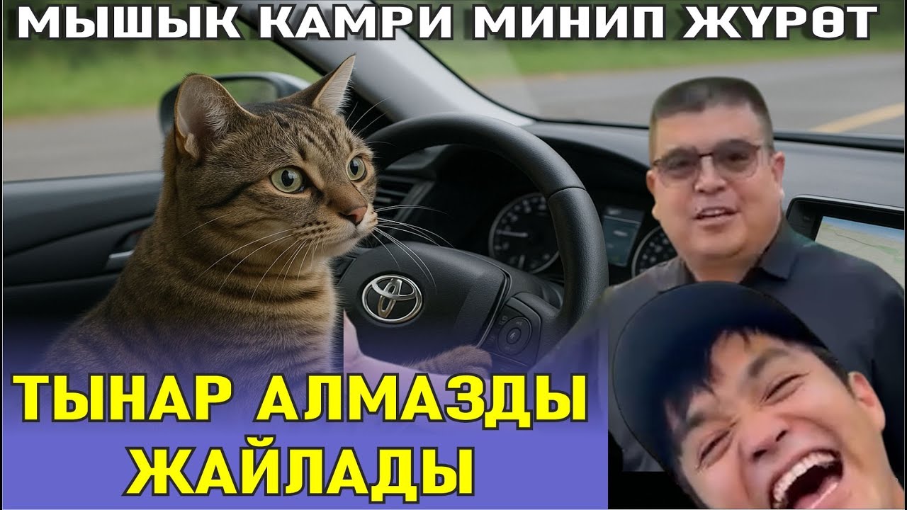 ЖАҢЫ//МЫШЫК КАМРИДЕ ЖҮРӨТ АЛМАЗ ПЕШКОМ ЖҮРӨСҮҢ ТЫНАР&АЛМАЗ