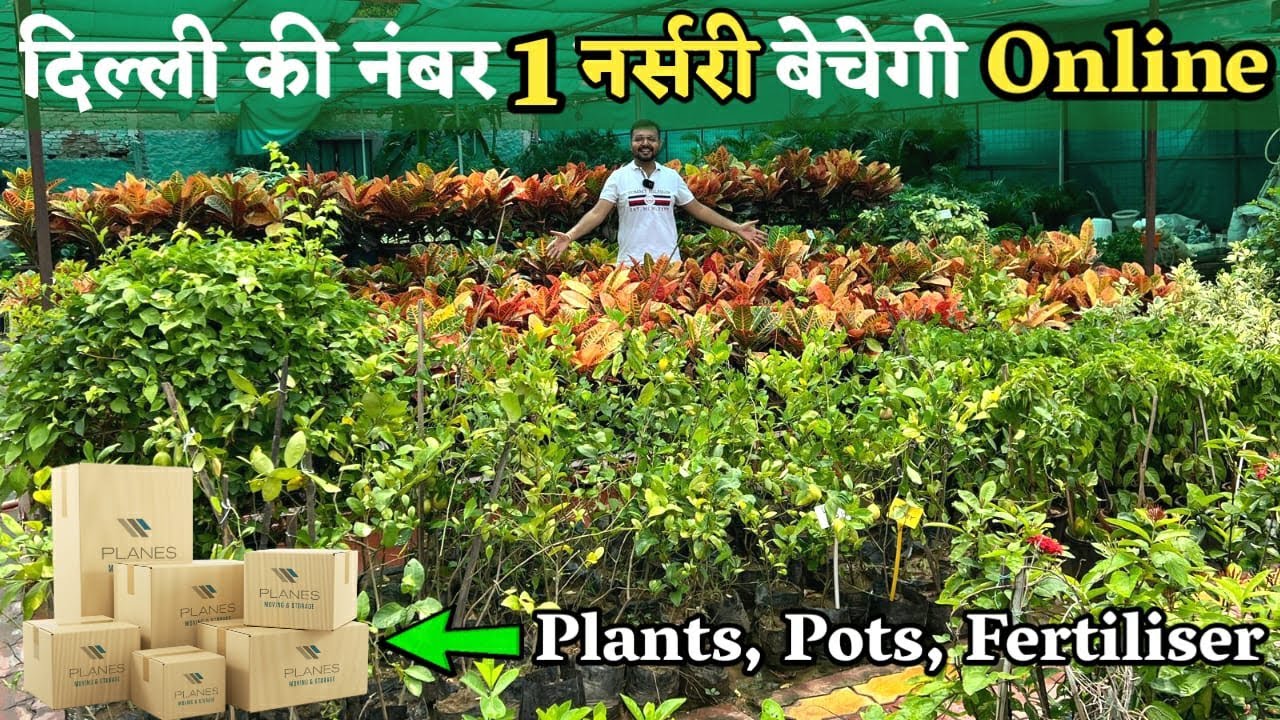 दिल्ली की नंबर 1 नर्सरी बेचेगी हर तरह के Plants, Pots,पौधों के लिए खाद Online ऑनलाइन सस्ते दामन पर