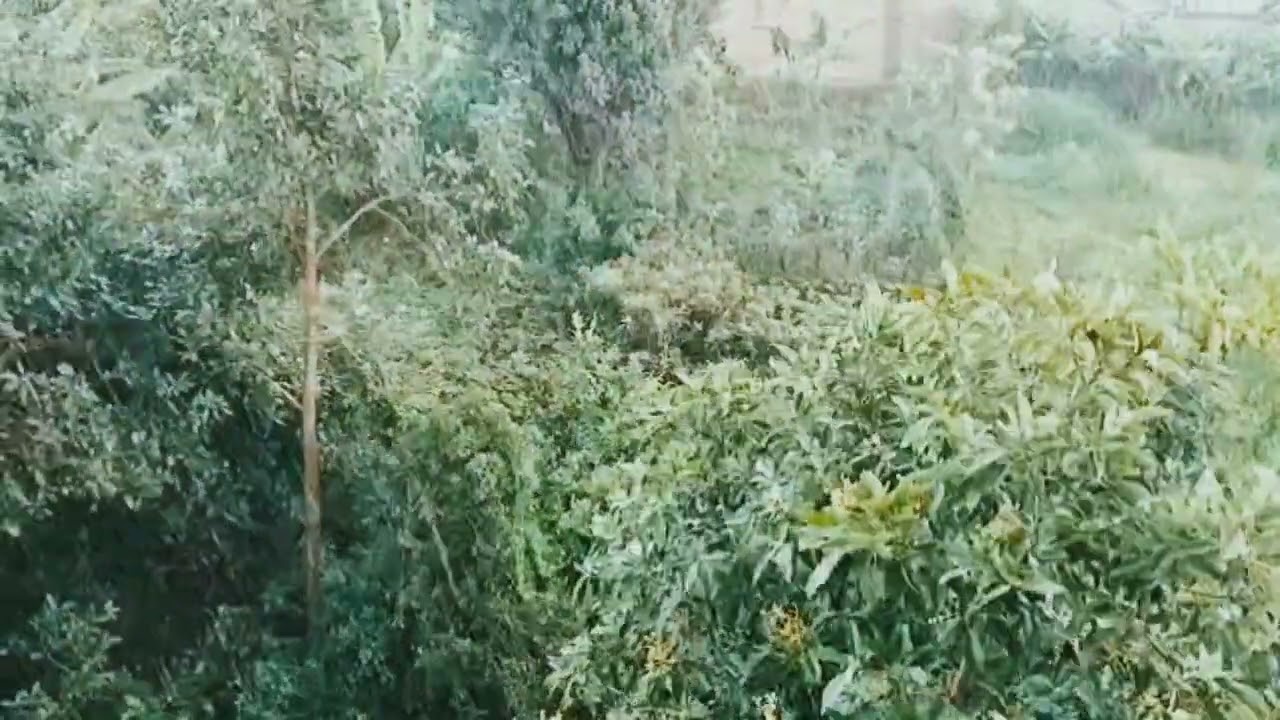 Relaxing rain sound for deep sleep