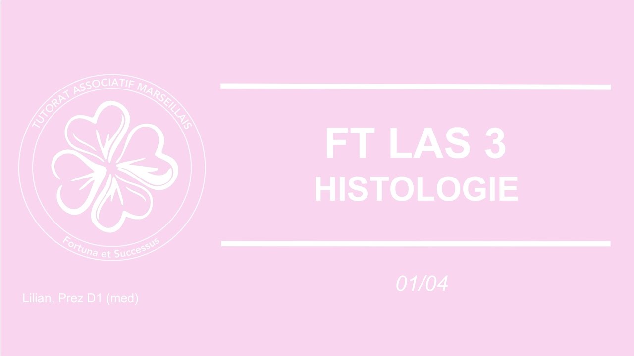 FaceTAM LAS 3 - HISTOLOGIE - 01/04/2025