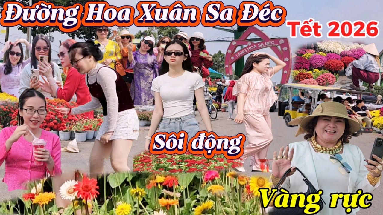 Sôi Động Đường Hoa Xuân Sa Đéc Vàng Rực Rở tưng bừng đón Tết 2026 Bính Ngọ 
