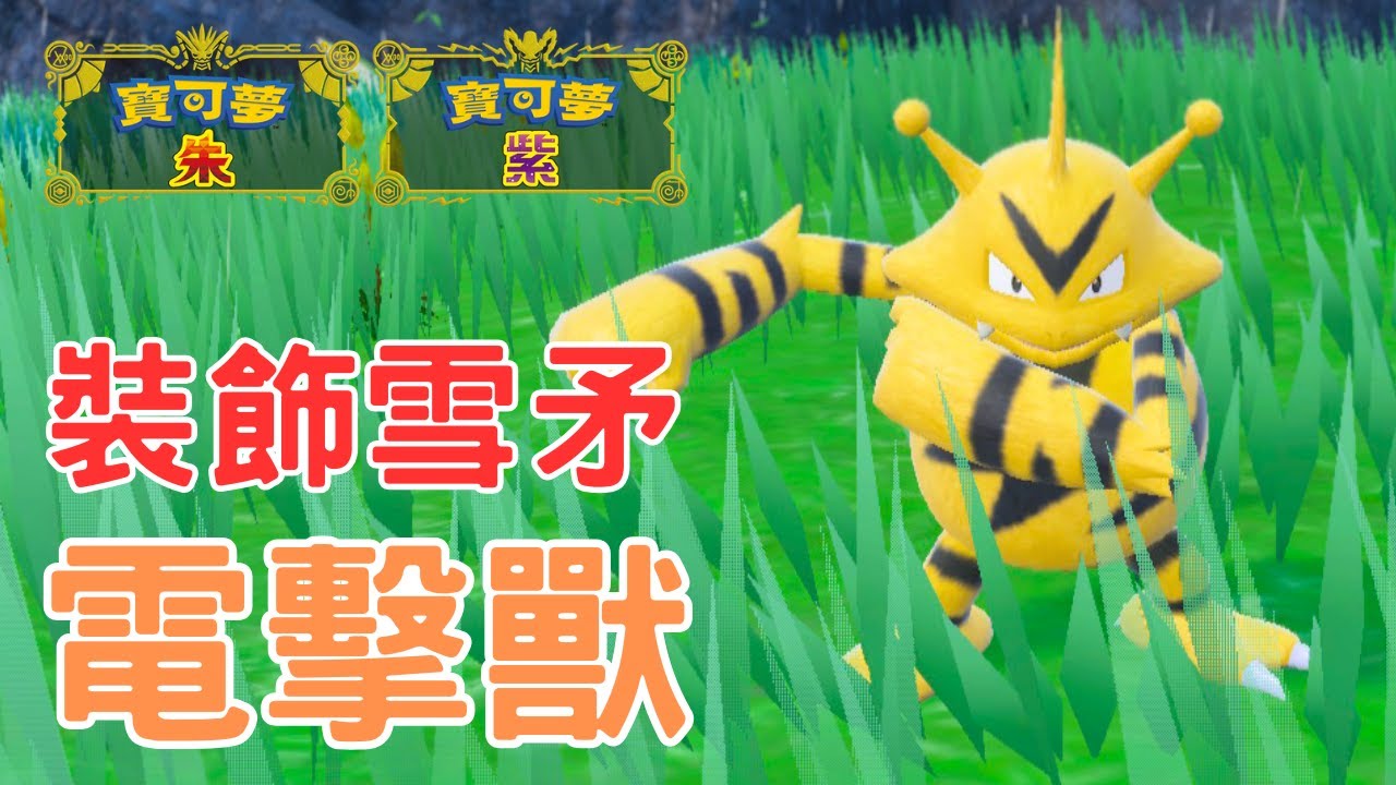 超硬輔助電擊獸，與重空間的圖圖犬！高勝率、適合新手的上分隊【寶可夢朱紫】雙打對戰 #寶可夢對戰 #級別對戰 #nintendoswitch