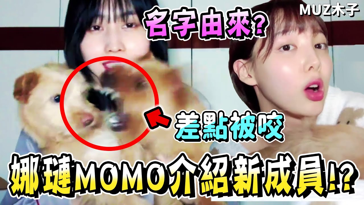 【TWICE】被狗狗吵架嚇到的MOMO!? 介紹宿舍的新成員！狗狗名字的由來是..?
