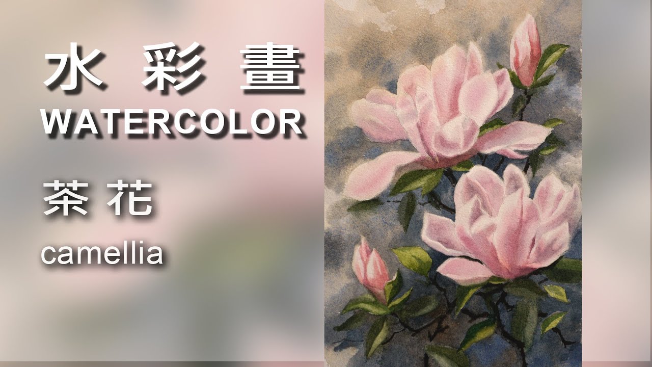 茶花 camellia / Watercolor / 水彩畫 #Watercolor#draw#art#painting#artist#水彩畫#素描#繪畫