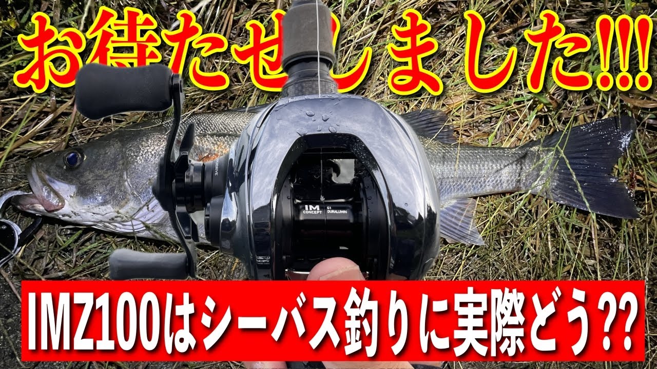 IMZ100をシーバス釣行に使った結果！こ、これはもしや相性ピッタリか！？