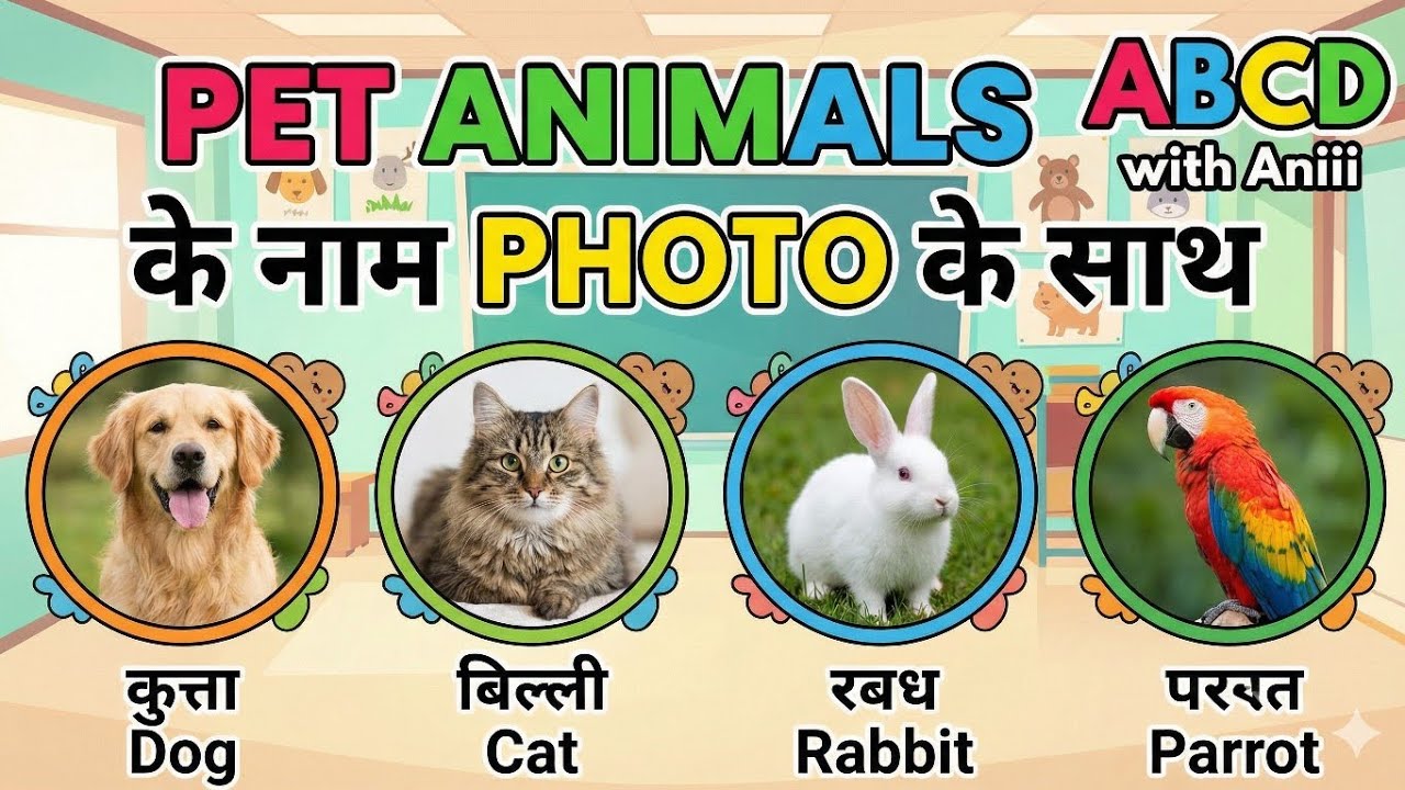 Pet Animals Name in English | पालतू जानवरों के नाम | Pet Animals by ABCD With Aniii