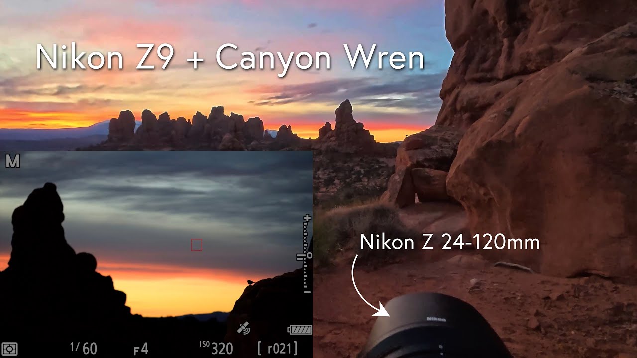 Nikon Z9 + Canyon Wrens в Национальном парке Арчес, штат Юта