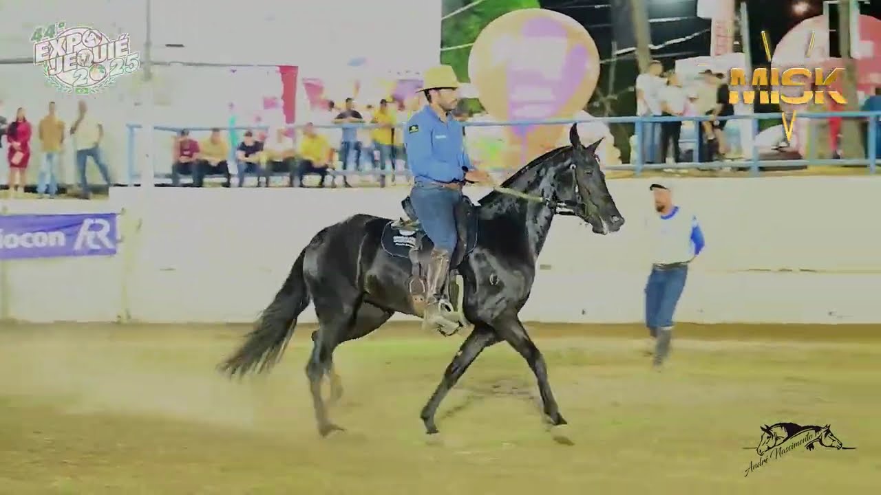 🐴 CALIFORNIA DO PATIOBA - Ela deu show em Jequié #abccmm #cavalo #mmtv #horse #misk