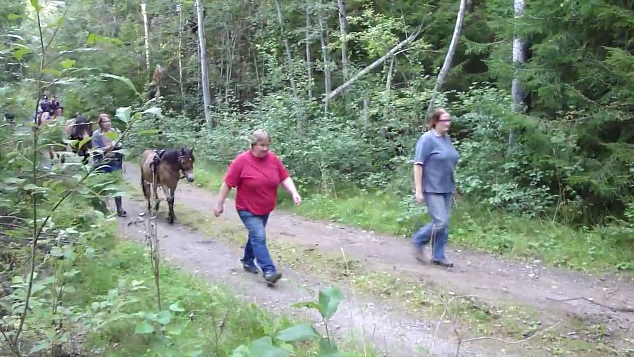 M&aring;ndagstr&auml;ff i Odensvi