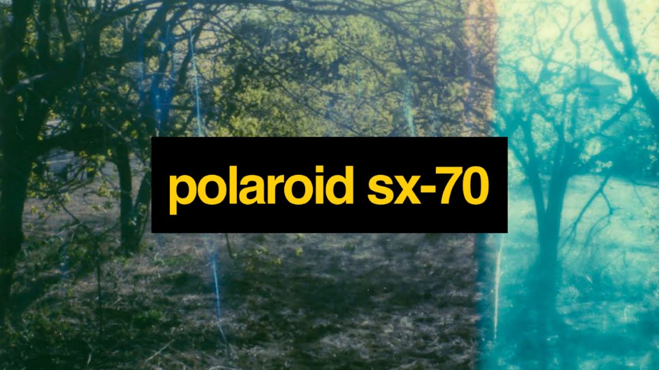 Polaroid SX-70 Review: Perfect Quarantine Camera