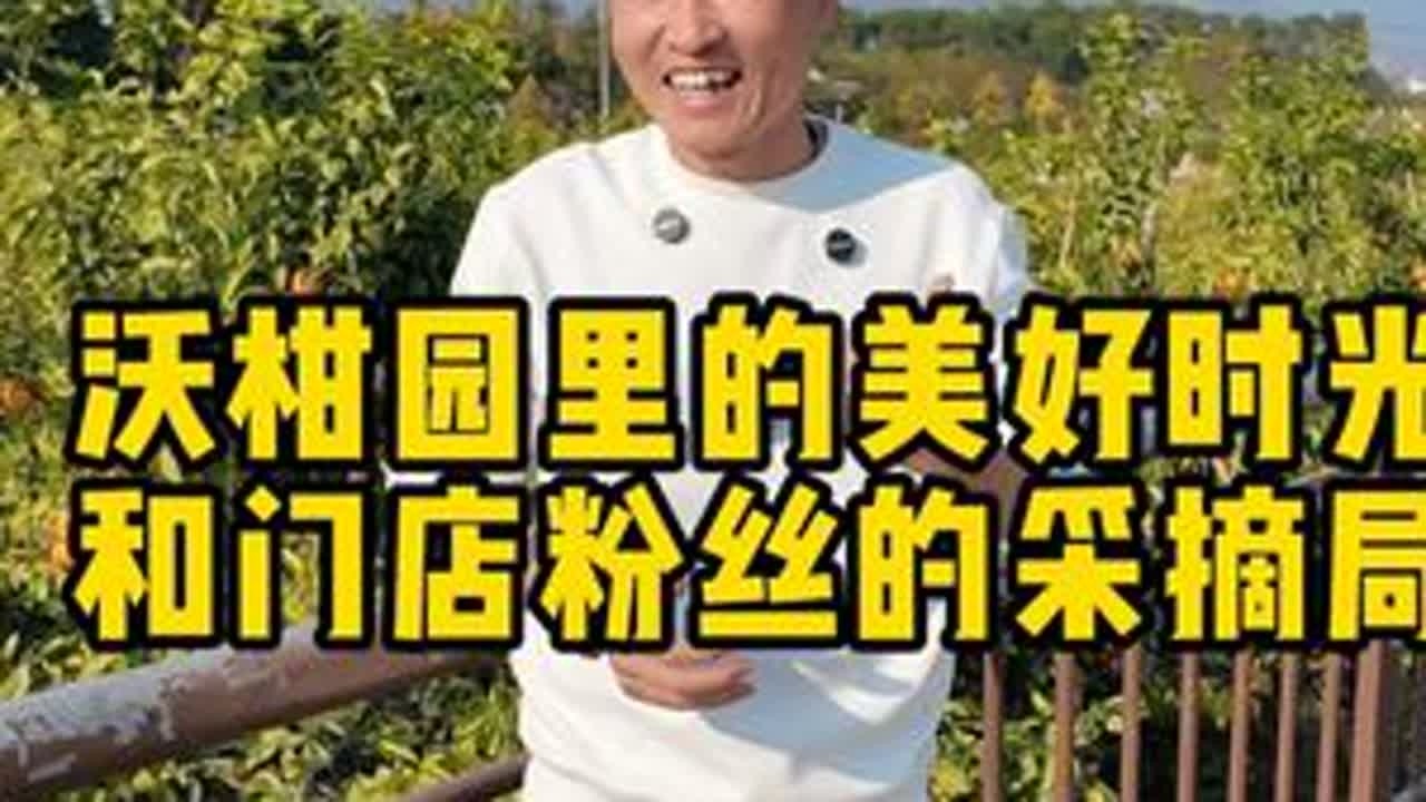 沃柑园里的美好时光，我和门店粉丝的采摘组局 #广西武鸣沃柑 #和阿姨合股种柑园 #和粉丝组局柑园采摘 #助农 #彬哥夫妇 @潮汕外省媳妇+胖婷 @缘味健康大厨房生鲜店