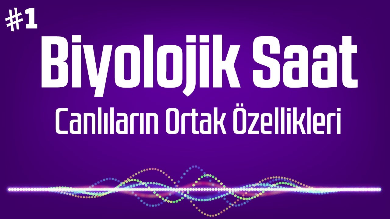 1.Biyolojik Saat - Canlıların Ortak Özellikleri (Podcast)