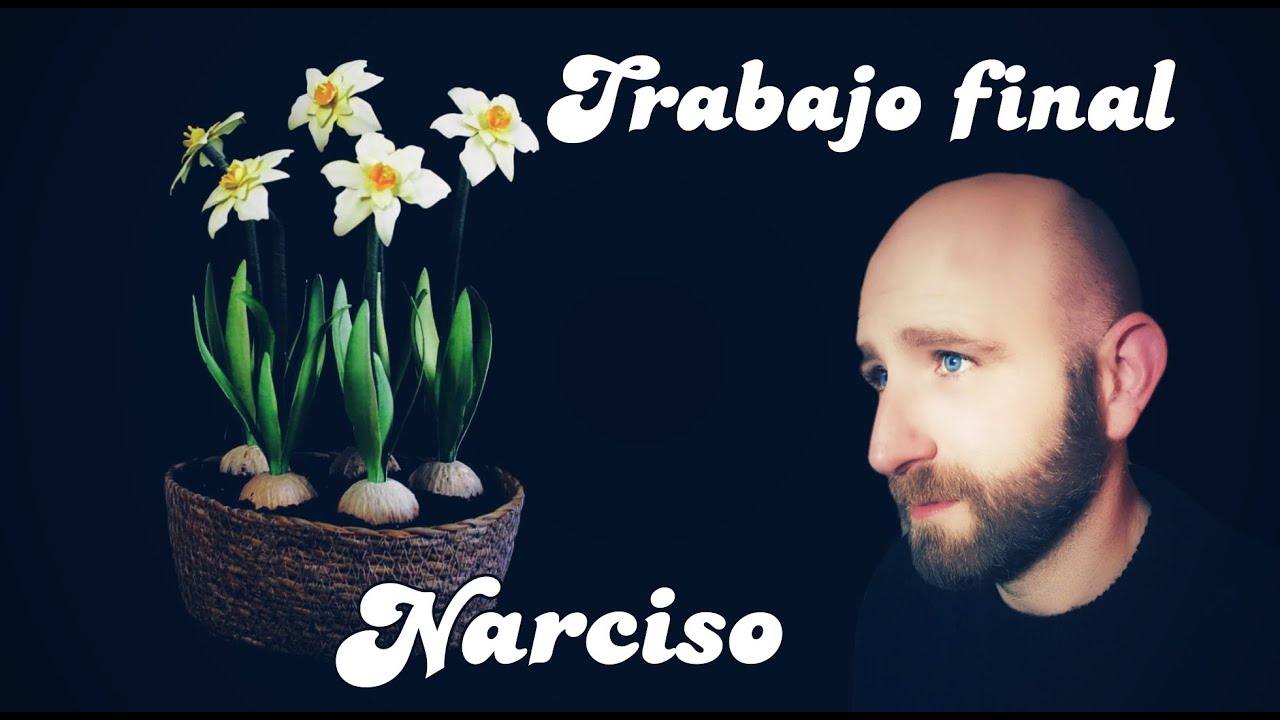 Video Trabajo final Narciso