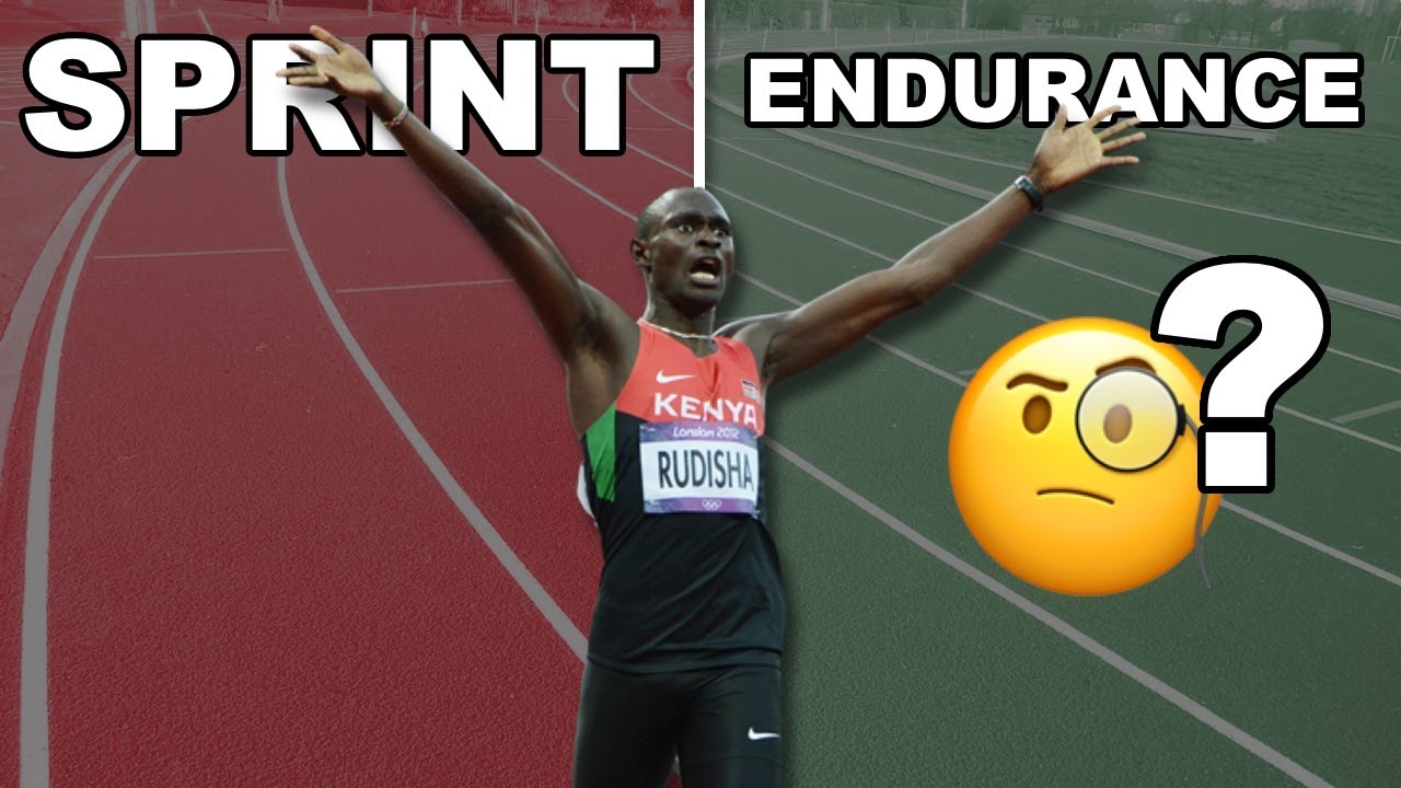 Les 3 Qualit&eacute;s INDISPENSABLES pour Performer sur 800m (Exemples d&rsquo;Entra&icirc;nement)