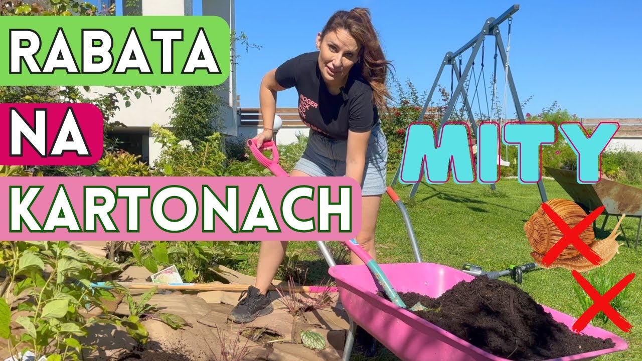 RABATA NA KARTONACH - OD A do Z - OBALAMY MITY O RABATACH 