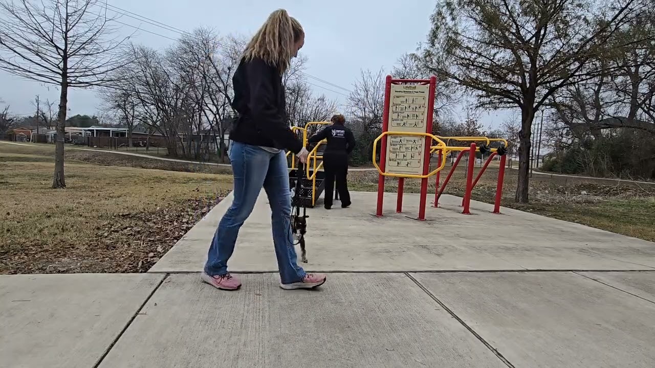 Onyx & Oreo: Park Exposure with People & Objects