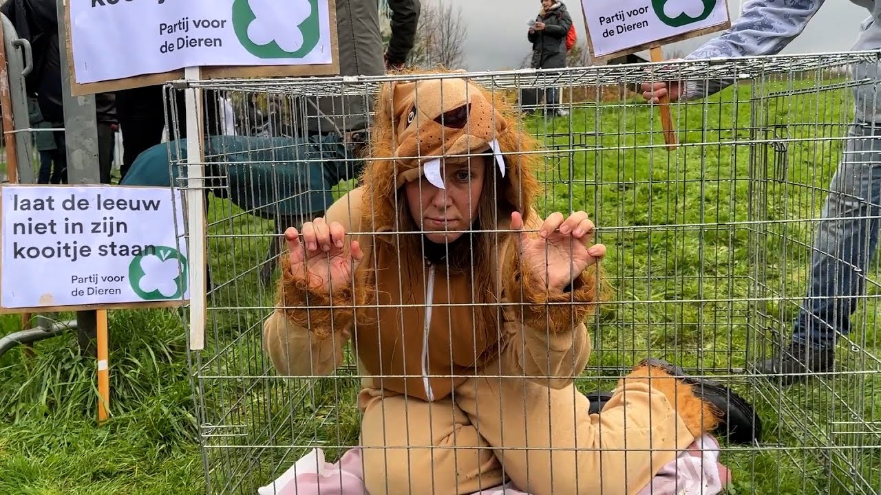 Protest bij Mondo Verde voor beter dierenwelzijn