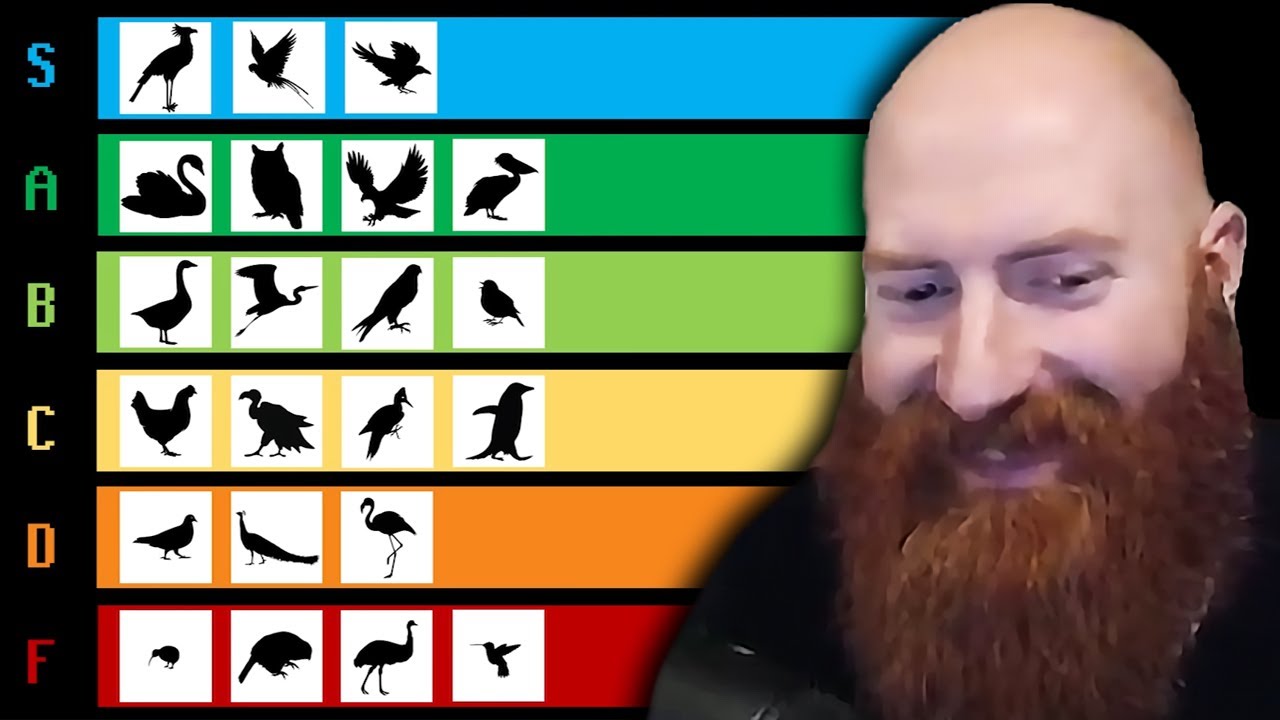 Реакция Xeno на список птиц Tier от TierZoo
