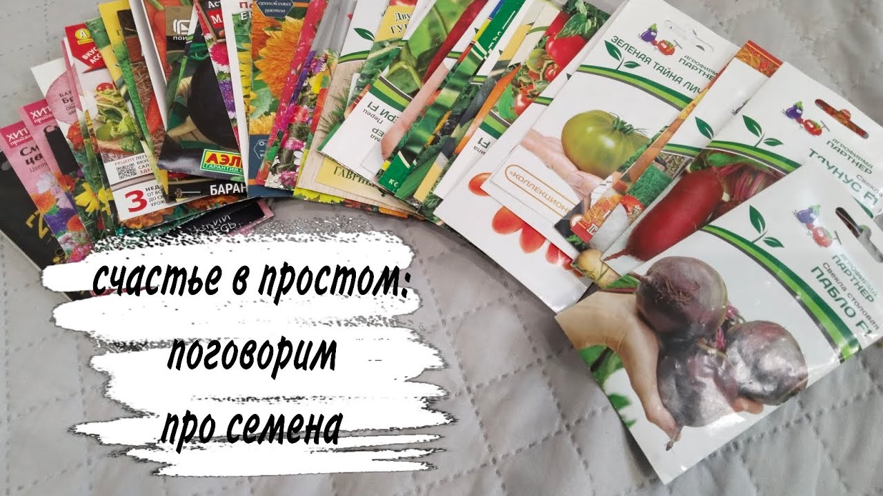 ❤️ПОГОВОРИМ❤️ПРО СЕМЕНА❤️