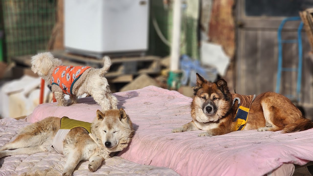 미소님들~ 행복한 설 명절 보내세요🙆‍♀️🙆‍♀️ 새해 복 많이 받으세요🙇‍♀️🙇‍♀️🙇‍♀️