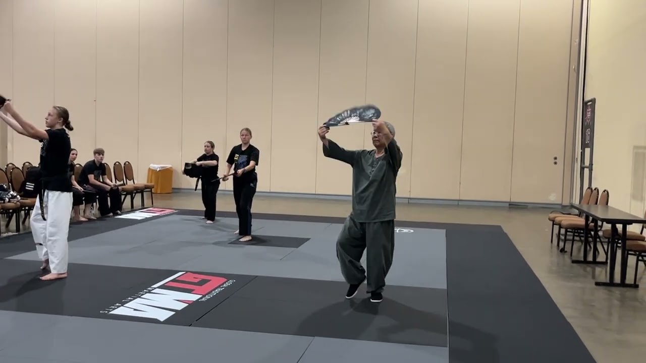Taiji Fan lv. 3
