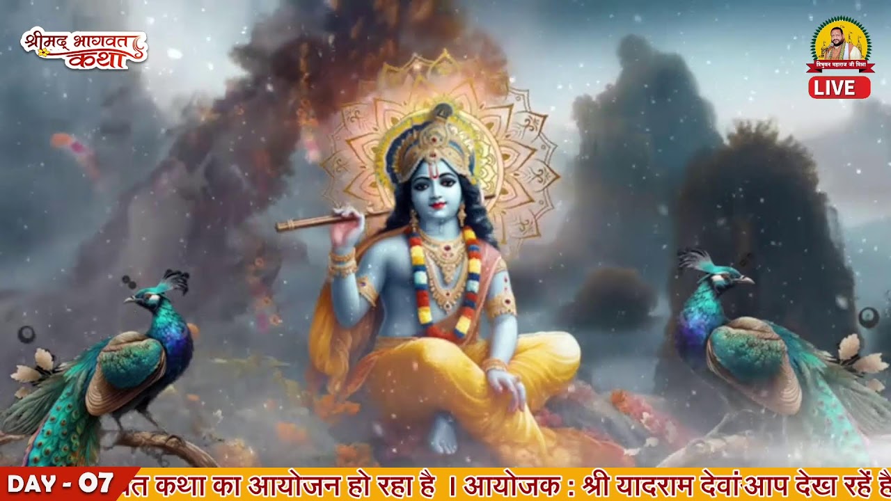 आरती व तुलसी परिक्रमा | श्रीमद् भागवत महापुराण कथा यज्ञ रोहिना, राजिम