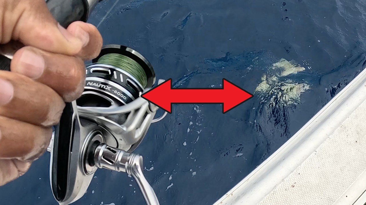 Piscifun NautiX 6000 Reel Review: Unboxing + Real Saltwater Fishing Demo: #piscifun #nautix6000
