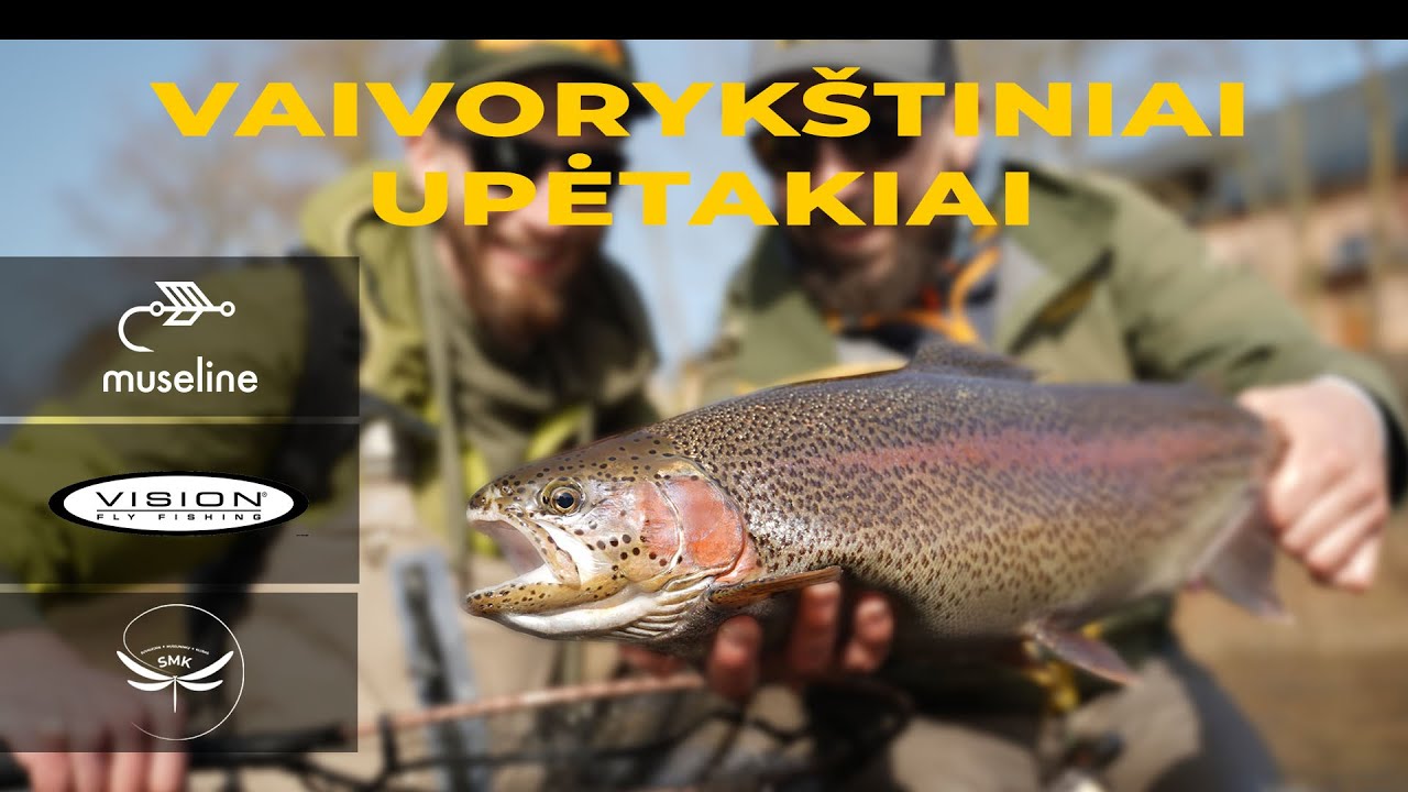 Vaivorykštiniai Upėtakiai Marijampolėje Skirtingais Muselinės Stiliais