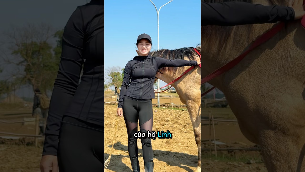 Tập ngựa cùng team Cascadeur phim Hộ Linh Tráng Sĩ #horse #equestrianjourney