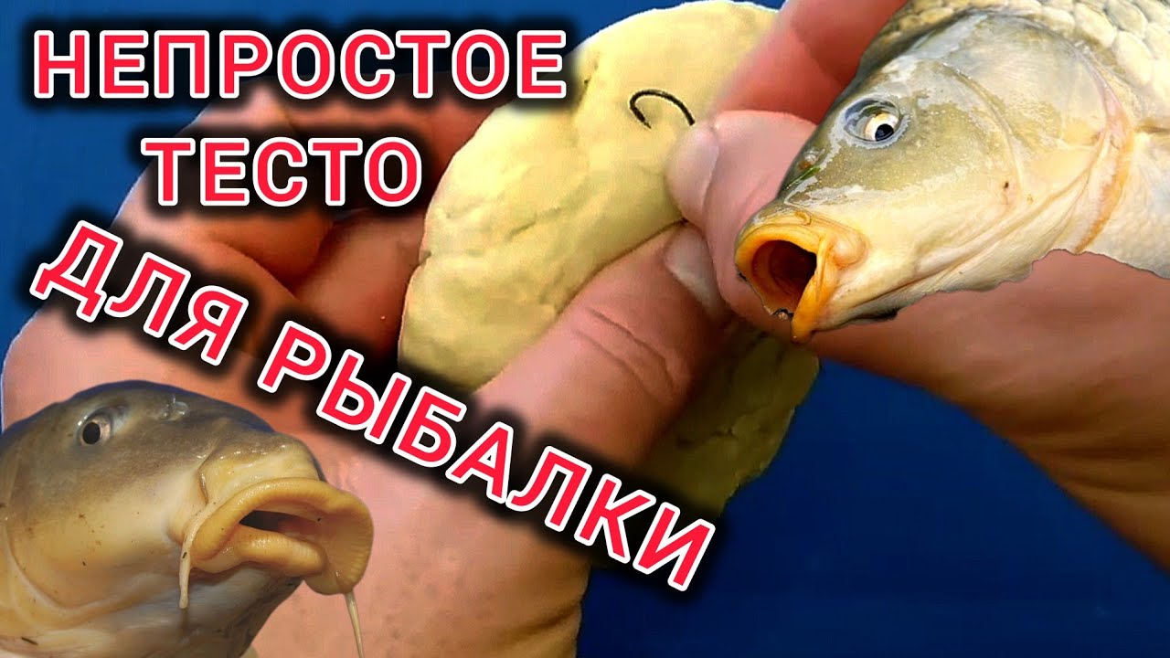 Вся РЫБА УЙДЕТ К ТЕБЕ! НЕ ПРОСТОЕ ТЕСТО НА КАРАСЯ,КАРПА И ПЛОТВЫ!