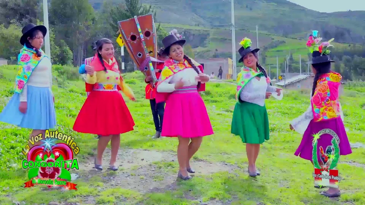 CONGONITA DE MORCOLLA (ROSAS HUAYTA) VÍDEO  TORIL PRIMICIA HD2018