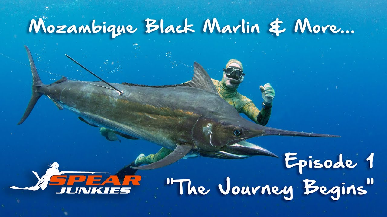 Spearfishing Mozambique - Spear Junkies Episode 1 - 