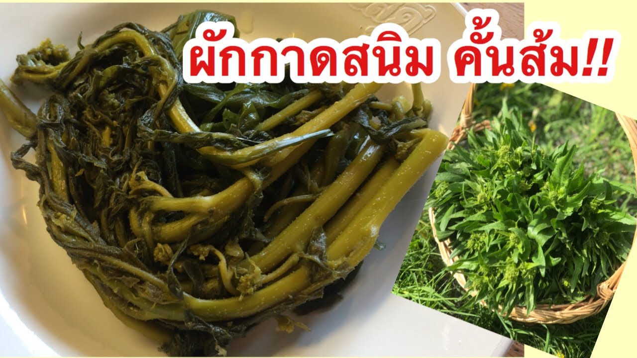 ผักกาดสนิม❗️คั้นส้ม‼️,ผักดอง,อร่อยมากเหมือนส้มผักเสี้ยนบ้านเราเลย