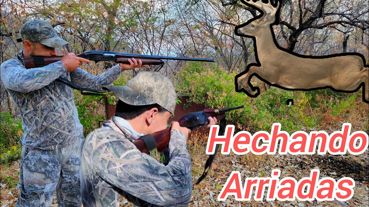 Hechando Arreadas De Venado Cola Blanca