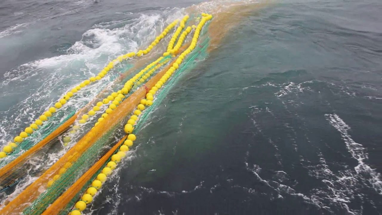 Bacalao Bottom Trawl with Fortis