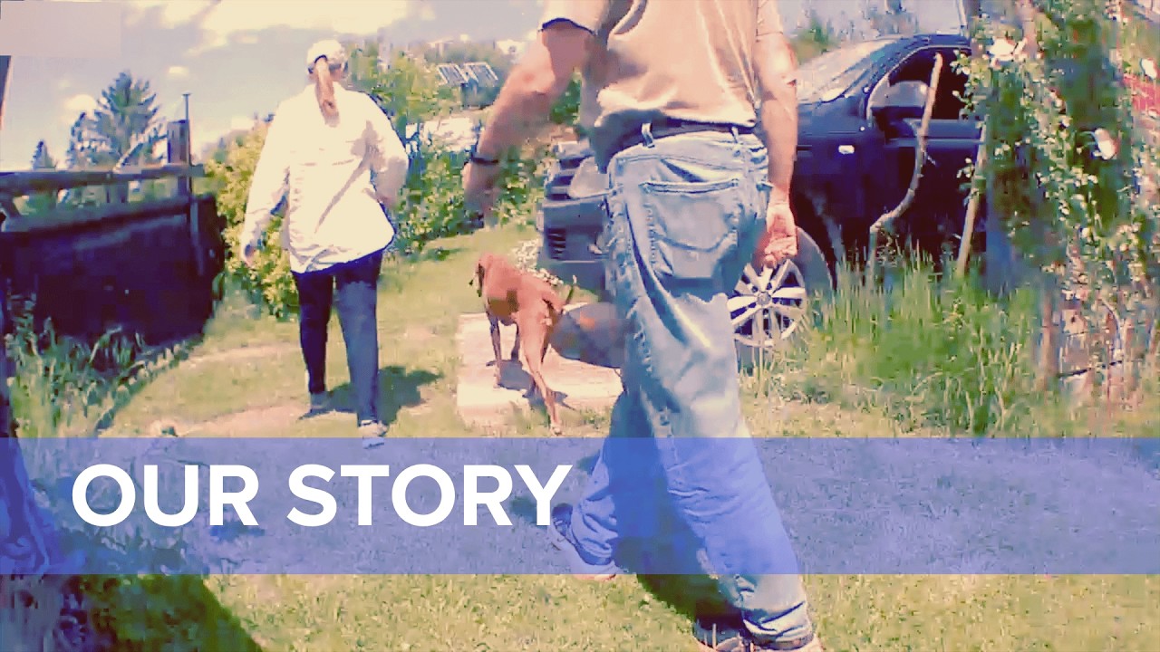 Quite a Story... #vizsla #garden  #woodworking #flood #storm