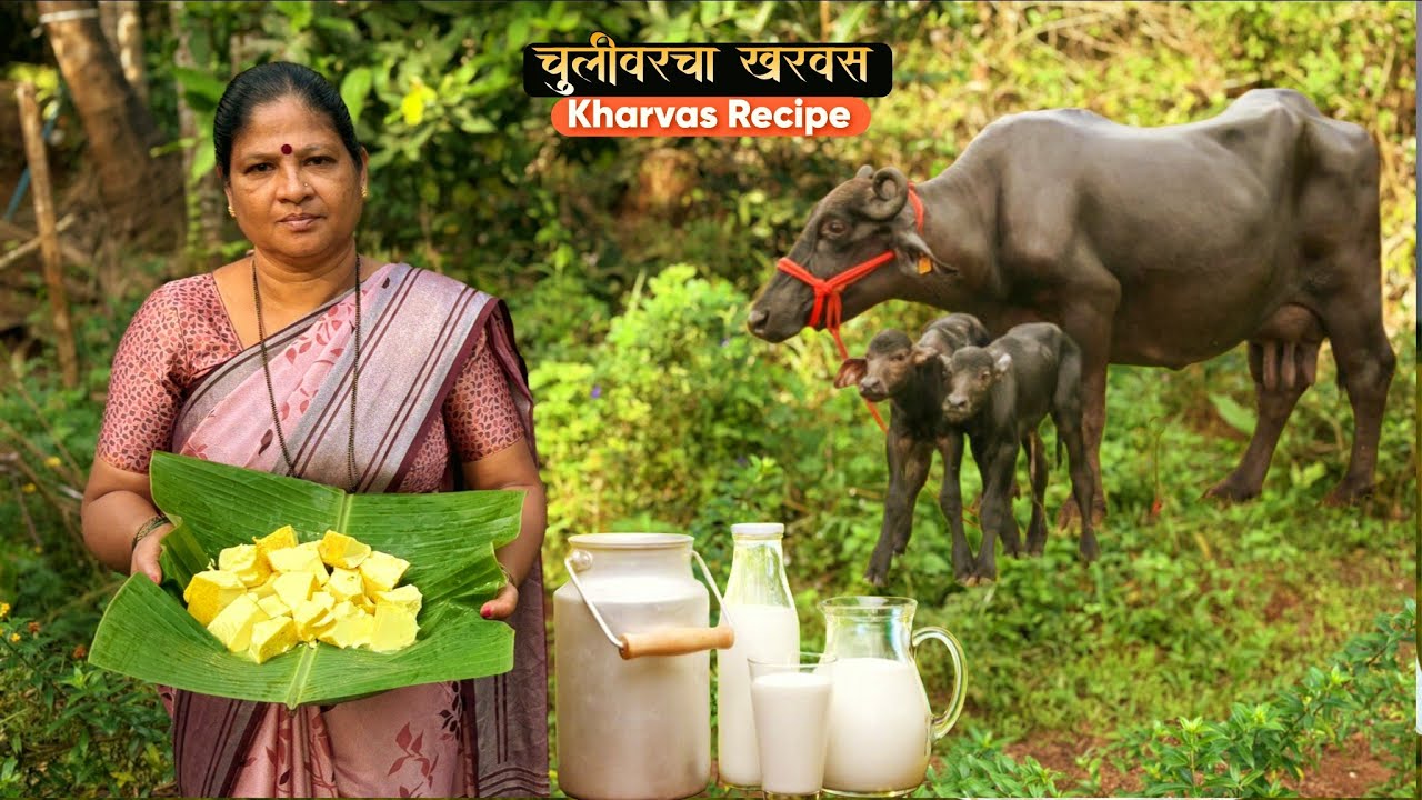 खरवस | kharvas | Milk pudding 🍮| traditional recipe | village cooking