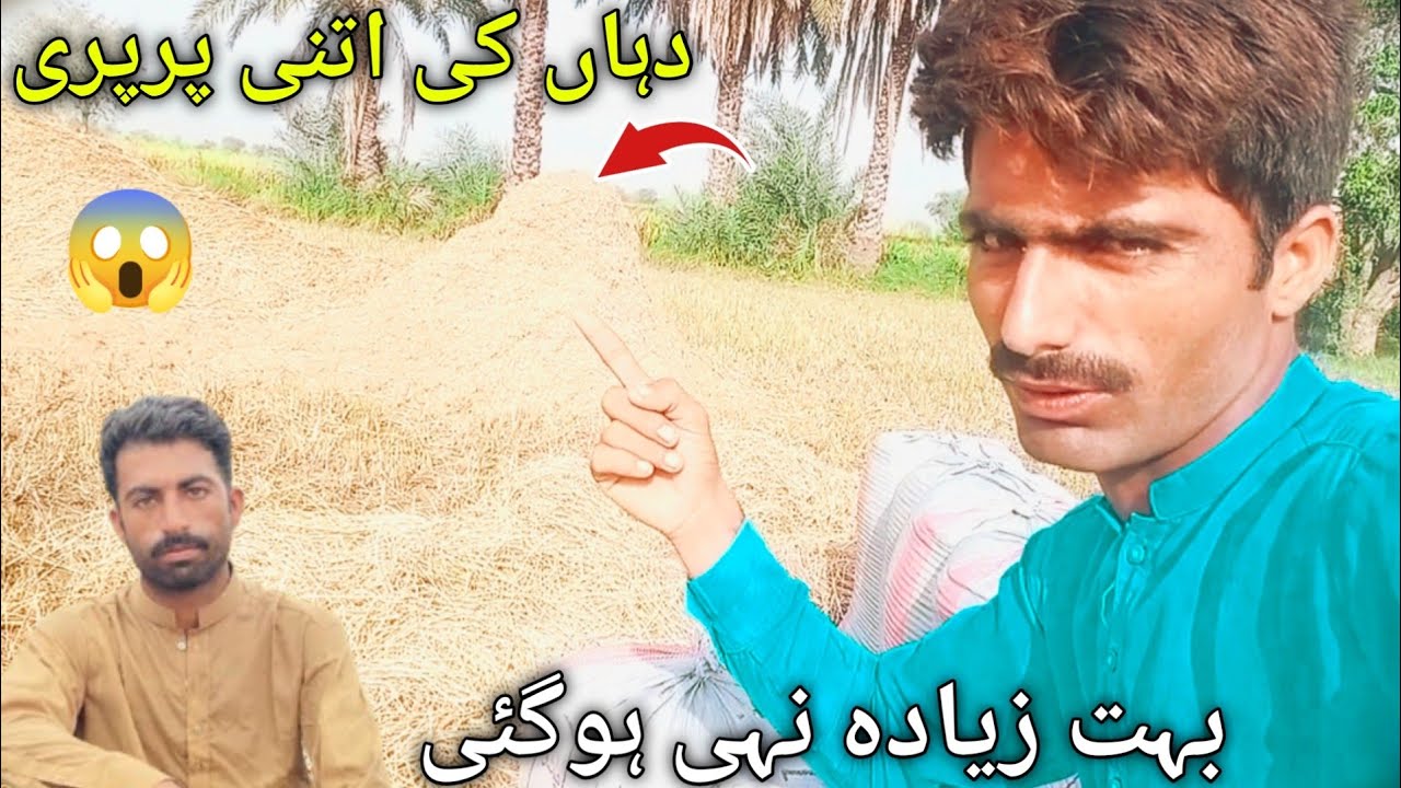 Humari dhaan ketni howi.....?