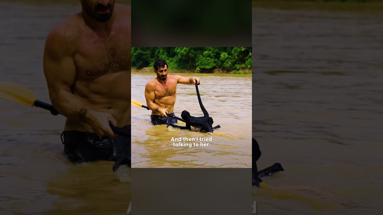 Paul Rosolie Saved A Drowning Spider Monkey In The Amazon | The Dodo