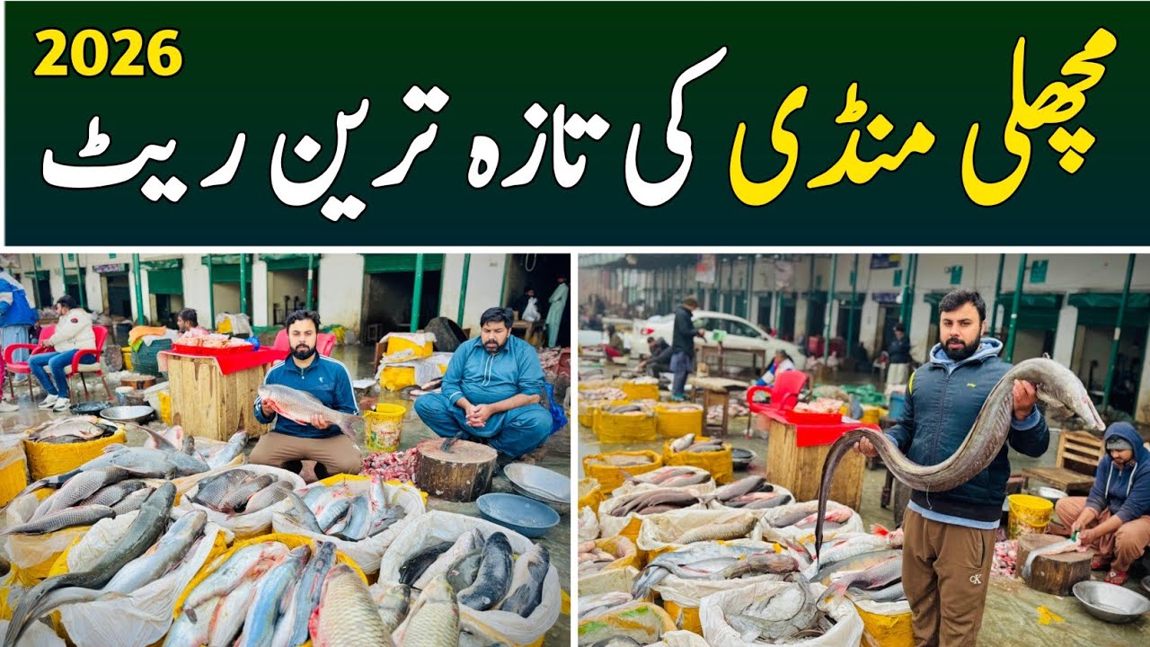 Fish Market Lahore | Machli Mandi Lahore | Fish Wholesale Market | Fish Market Rates Today 2026 
