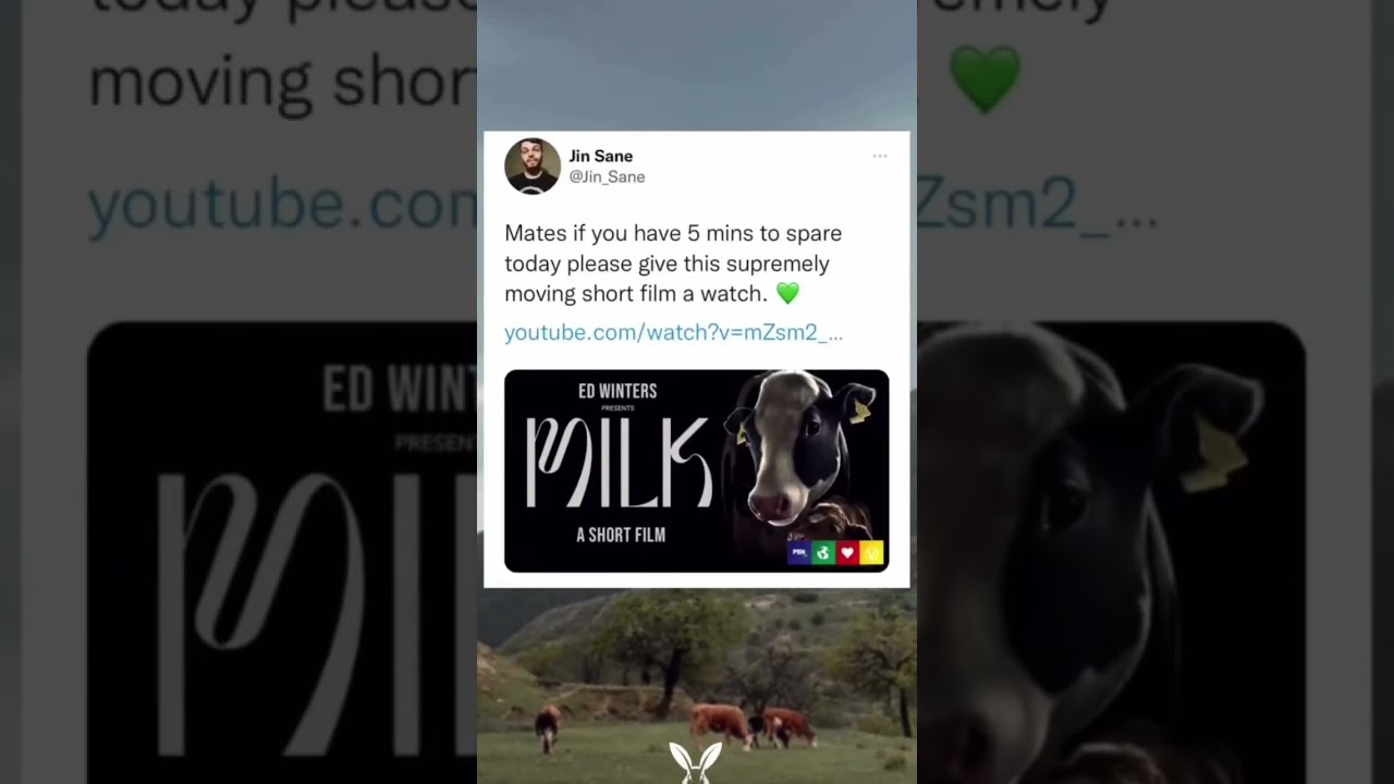 Short film about the dairy industry by Earthling Ed Winters is powerful and moving